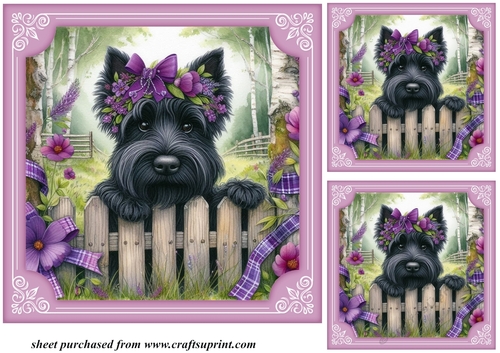 3 Purple floral Scottie card front/toppers 1