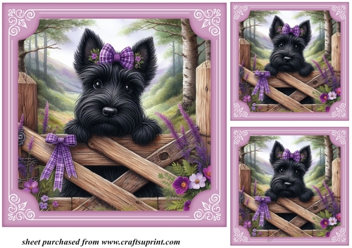 3 Purple floral Scottie card front/toppers 6