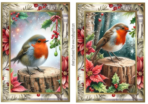 2 Christmas robin card fronts 1