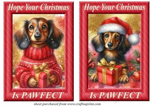 2  Pawfect Christmas Dachshund card fronts