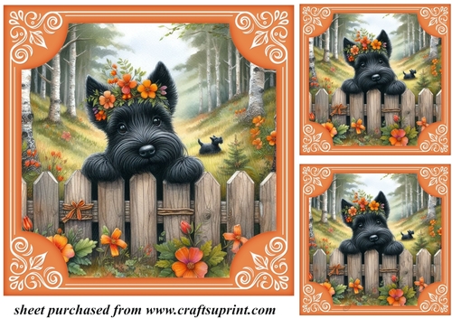 3 Orange floral Scottie card front/toppers 3