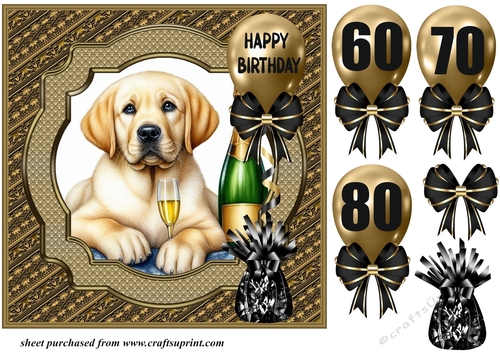 Age 60-80 Birthday pup card front 7