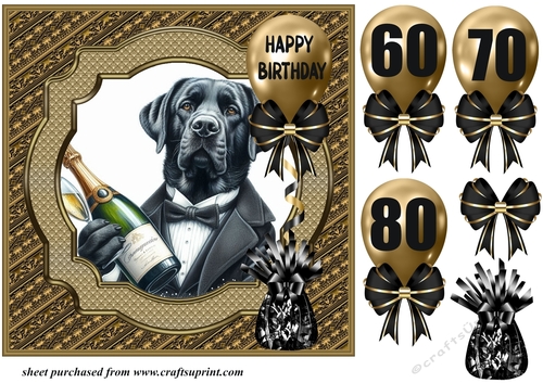 Age 60-80 Birthday pup card front 11