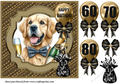 Age 60-80 Birthday pup card front 14