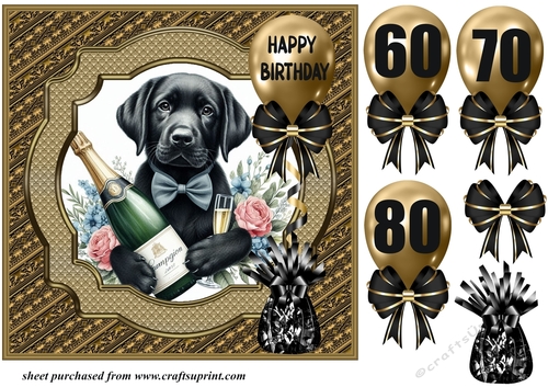 Age 60-80 Birthday pup card front 19