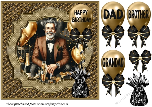 Dad/Brother/Grandad Birthday card front 8
