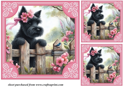 3 Pink floral Scottie card front/toppers 4