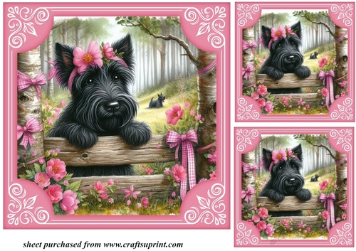 3 Pink floral Scottie card front/toppers 5