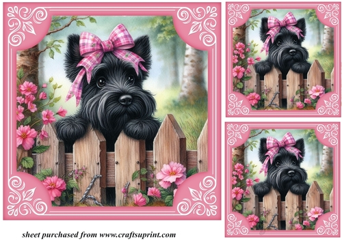 3 Pink floral Scottie card front/toppers 6