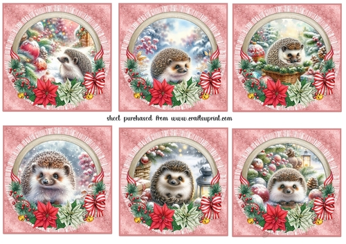 6 Christmas hedgehog toppers 1