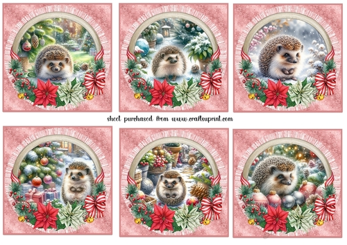 6 Christmas hedgehog toppers 2