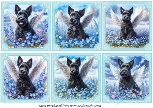 6 Forget me not Scottish terrier toppers