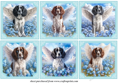 6 Forget me not Springer Spaniel toppers