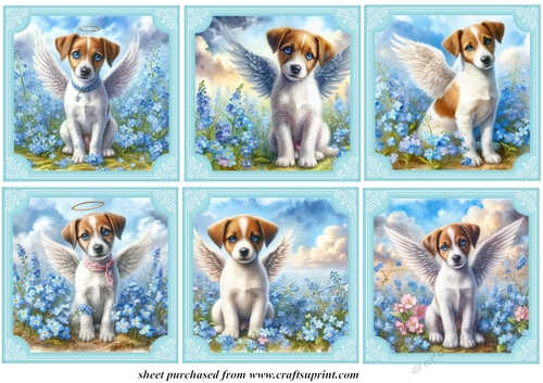 6 Forget me not Jack Russell toppers