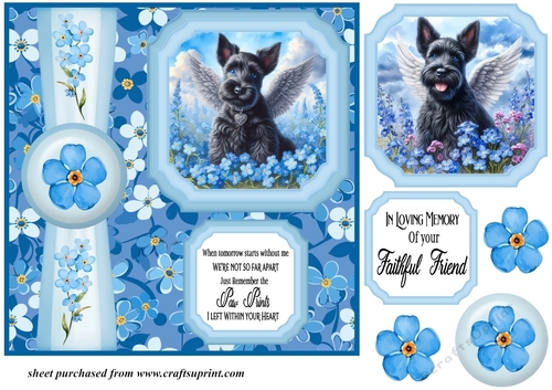 Forget me not 2 panel Scottish terrier card front 