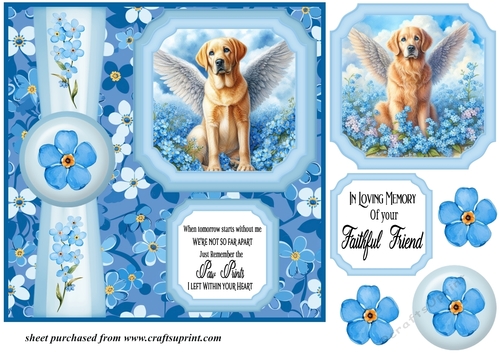 Forget me not 2 panel yellow Labrador card front 1