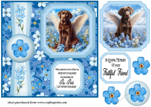 Forget me not 2 panel chocolate Labrador card front 2