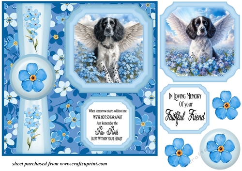 Forget me not 2 panel black and white Springer Spaniel card front 