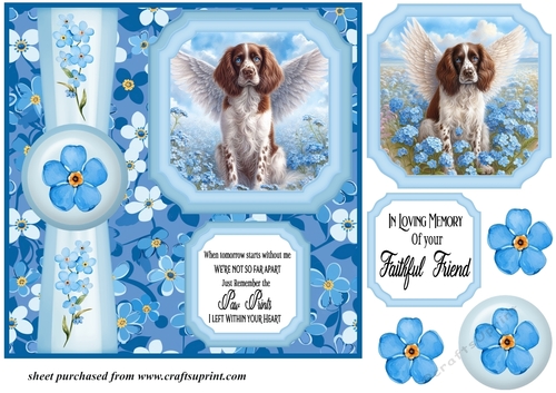 Forget me not 2 panel liver and white Springer Spaniel card front 