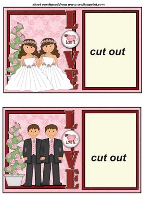 Female and Male Civil Wedding Photo Toppers