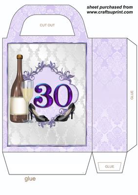 Age 30 Champagne and Shoes Gift Bag
