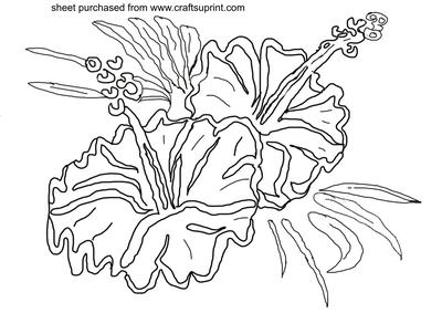 Large Hibiscus Hand Drawn Digital Stamp