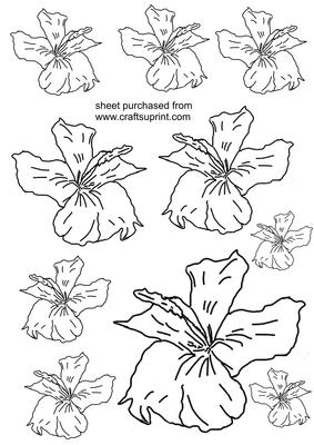 Hibiscus Flower Head Digi Sheet