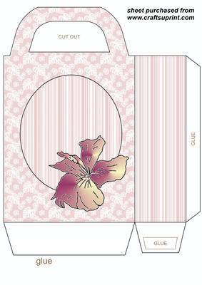 Pink Hibiscus Gift Bag 2