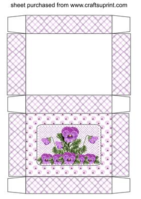 Lilac Pansy Gift Box 1