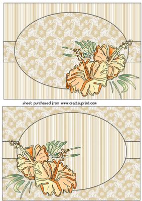 2 Peaches and Cream Hibiscus Card Fronts