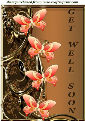 Bronze/orange Floral Butterfly Get Well Soon Topper