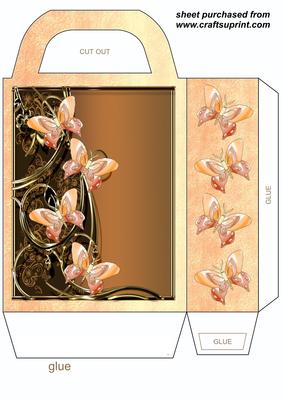 Orange Floral Butterfly Gift Bag 1
