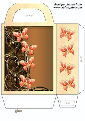 Orange Floral Butterfly Gift Bag 2