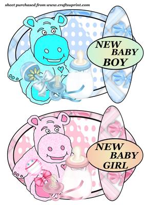 Baby Boy and Girl Hippo Toppers
