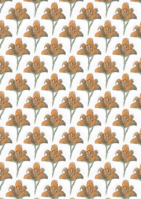Black and Orange Textured Lilies Backing Sheet
