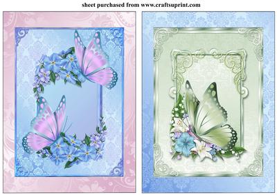 2 Floral Butterfly Card Fronts