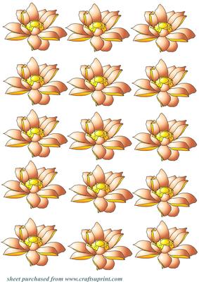 A Sheet of Orange Flower Embellishments 2
