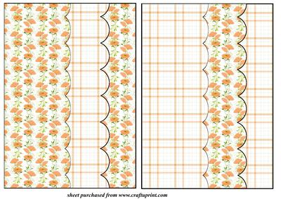 2 Orange Poppy Card Front Blanks