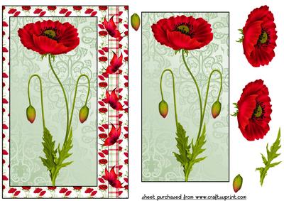 Red Poppy and Butterfly Card Front