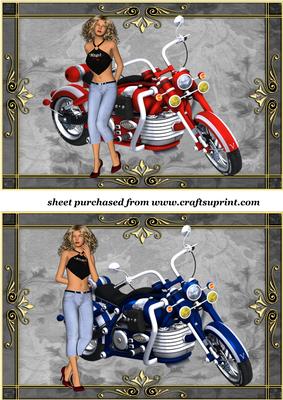 2 Biker Chick Toppers 4