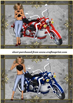 2 Biker Chick Toppers 5