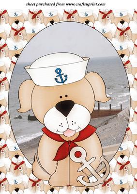 Old Sea Dog Topper 3