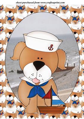 Old Sea Dog Topper 4