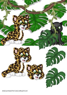 I Spy Jungle Cats Quick Card Front