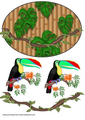 Jungle Bird Rocker Card