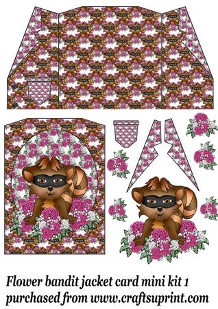 Flower Bandit Jacket Card Mini Kit 1