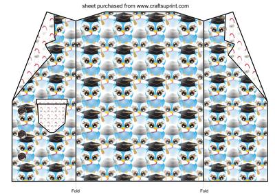 Blue Graduation Owl Jacket Card Blank