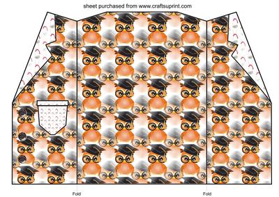 Orange Graduation Owl Jacket Card Blank