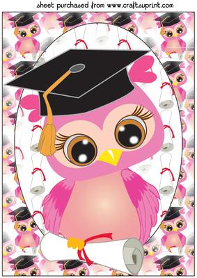 Pink Graduation Owl Topper