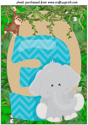 Age 3 Jungle Birthday Topper